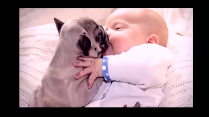 cute dog pictures