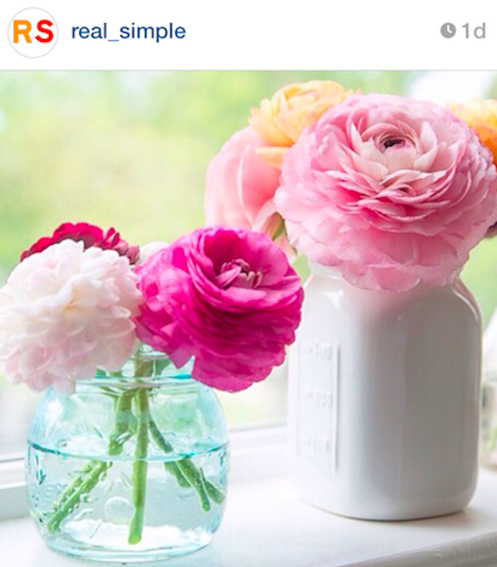 best instagram accounts