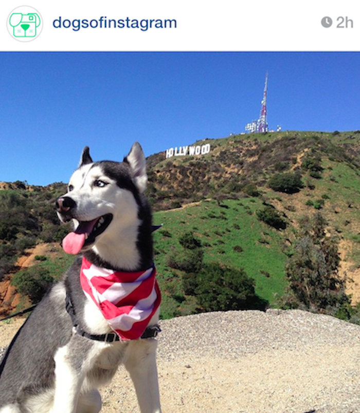 best instagram accounts