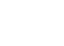 Plant Leaves